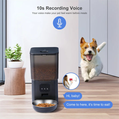 6L Tuya Wi-Fi or Button Automatic Timmer Pet Feeder Smart Feed Dog Cat Feeder App for Pet Voice Recorder Food Dispenser Bowl