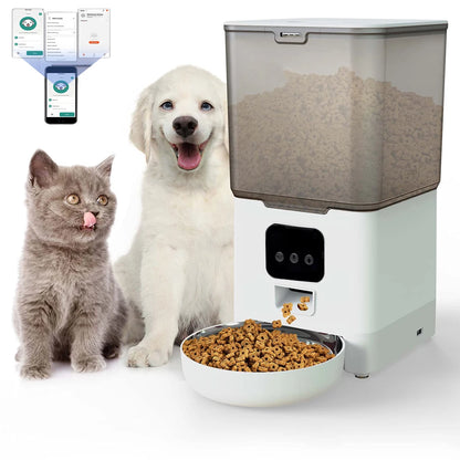 6L Tuya Wi-Fi or Button Automatic Timmer Pet Feeder Smart Feed Dog Cat Feeder App for Pet Voice Recorder Food Dispenser Bowl