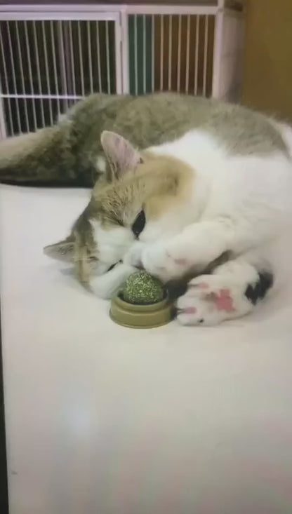 Natural Catnip Cat Wall Stick-On Ball Toy Scratchers Treats Healthy Natural Removes Balls to Promote Digestion Cat Grass Snack